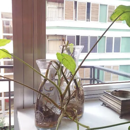 Apartamento Centro Ciudad